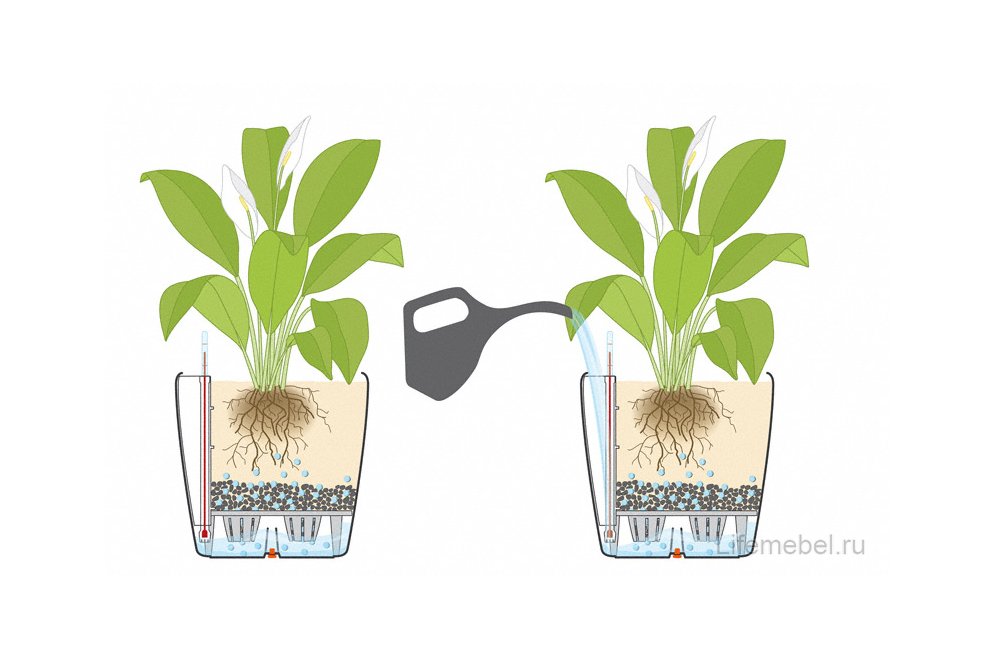 Кашпо Lechuza 13203 CLASSICO Color 28 мускатный