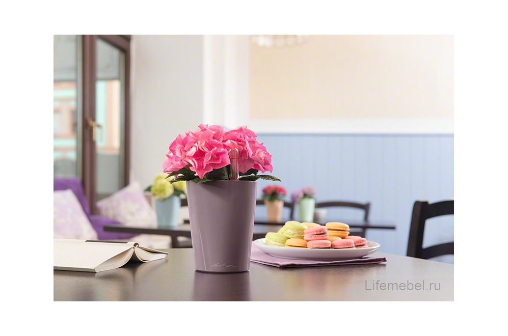 Кашпо Lechuza 14959 MINI-DELTINI серо-коричневый блестящий