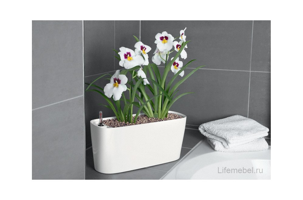 Кашпо Lechuza 15563 DELTA 20 Антрацитовый металлик