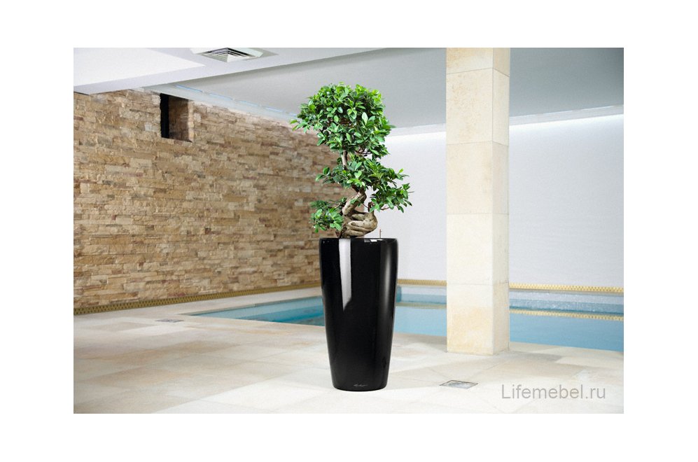 Кашпо Lechuza 15749 RONDO 40 Черный блестящий