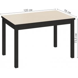 Стеклянный стол Диез Т11