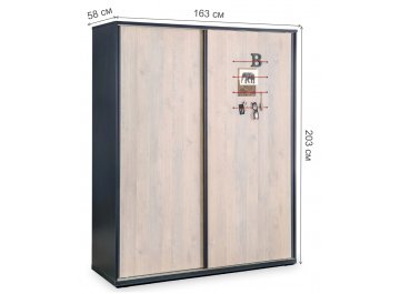 Шкаф-купе детский Trio