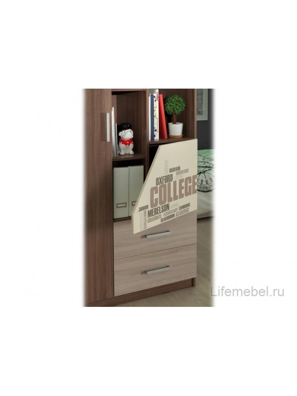 Шкаф комбинированный Колледж