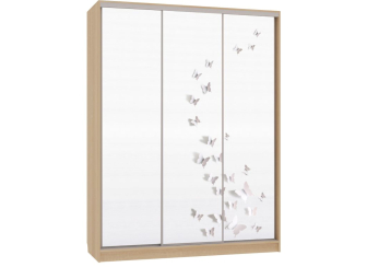 Шкаф-купе Бассо 7