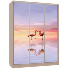 Шкаф-купе Бассо 7