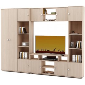 Готовая гостиная Тунис-3