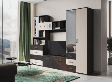 Готовая гостиная Янина ТВ 751