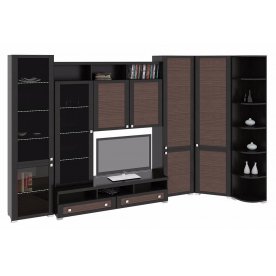 Стенка для гостиной Фиджи (комплектация 22) венге цаво / каналы дуба