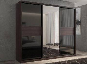 Шкаф-купе Кааппи 9