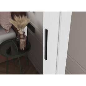 Шкаф-купе Дрим-1 1,5 м