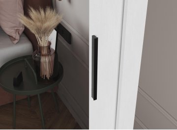 Шкаф-купе Дрим-1 1,5 м