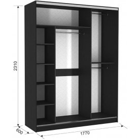 Шкаф-купе Бассо 10-600 83