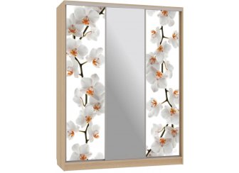 Шкаф-купе Бассо 10-600 83