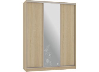 Шкаф-купе Бассо 1-600