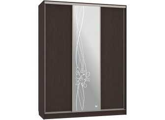 Шкаф-купе Бассо 1-600