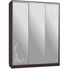 Шкаф-купе Бассо 4-600