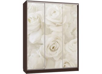 Шкаф-купе Бассо 7-600