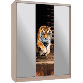 Шкаф-купе Бассо 9-600 87