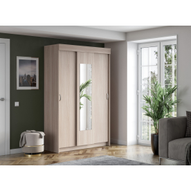 Шкаф-купе Бассо