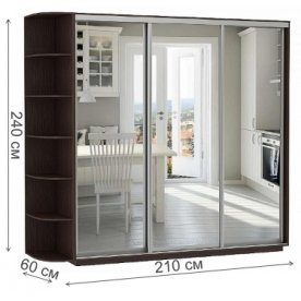 Шкаф-купе D3-08 240х60