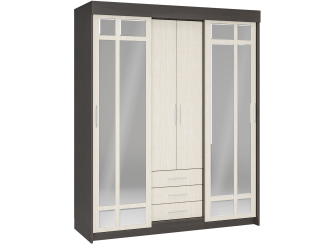 Шкаф-купе Олденс