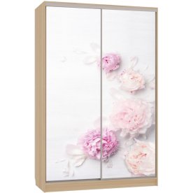 Шкаф-купе Гранд 7-600 17