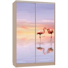 Шкаф-купе Гранд 7-600 19