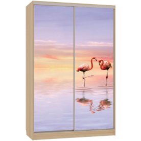 Шкаф-купе Гранд 7-600 19