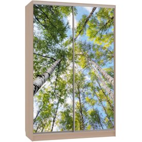 Шкаф-купе Гранд 7-600 57