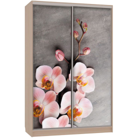 Шкаф-купе Гранд 7-600 78