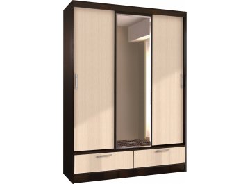 Шкаф-купе арт.009