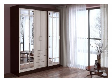 Шкаф-купе Маэстро