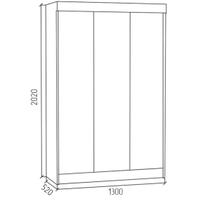 Шкаф-купе СК1