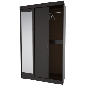 Шкаф-купе СК1-З