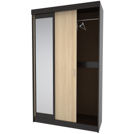 Шкаф-купе СК1-З