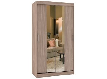 Шкаф-купе Риф 2 ШК.021.1000-23 вариант 4