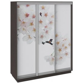 Шкаф-купе Румер 180х60х220