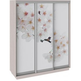 Шкаф-купе Румер 180х60х220