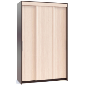 Шкаф-купе ШР-156.2