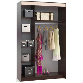 Шкаф-купе ШР-156.2