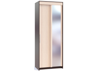 Шкаф-купе ШР-94.2