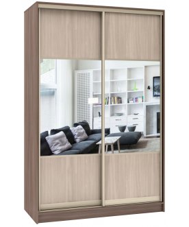 Шкаф-купе Стандарт Комбо 2.1 ШК.006.1400-19