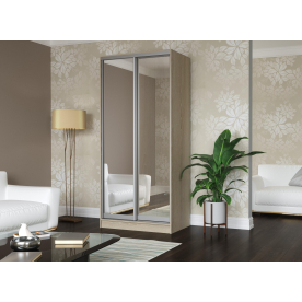 Шкаф-купе Зеркало-2