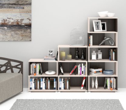 Стеллаж СБ-10-2 венге / карамель