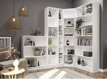 Стеллаж Вилли СБ-800