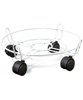 Цветочница Пальмина белая