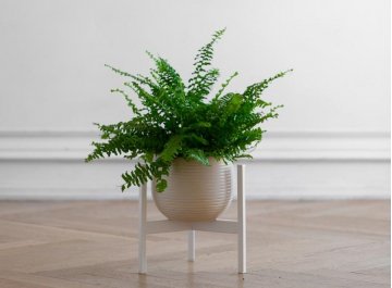 Цветочница Агния 10