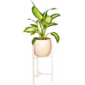 Цветочница Trinity 40