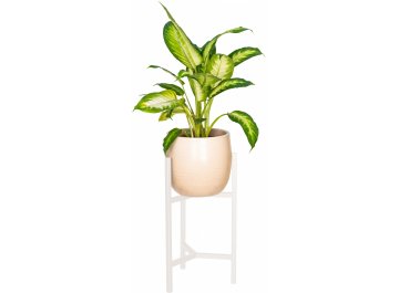 Цветочница Агния 20