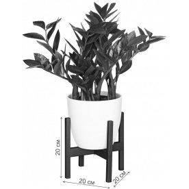 Цветочница Oxalis 20